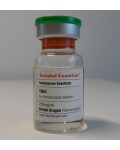Testabol Enanthate (Testosterone Enanthate) British Dragon, 250 mg / ml, 10 ml