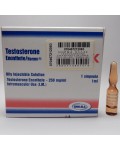Testosterone Enanthate Norma, 250 mg / ml, 1 ml vial