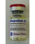 Depobol 250, Testosterone Enanthate, European Pharmaceutical
